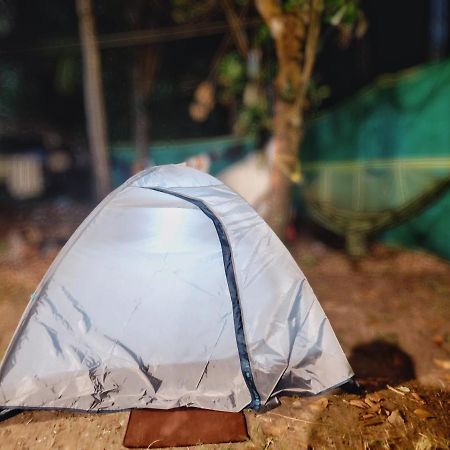 Gogonuts Hostel วาร์คาลา ภายนอก รูปภาพ