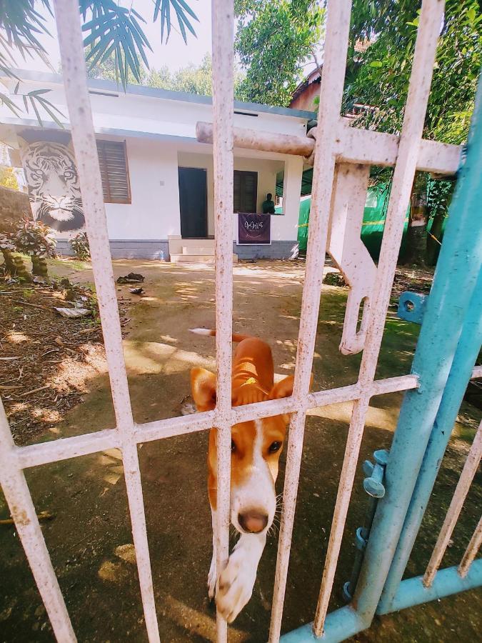 Gogonuts Hostel วาร์คาลา ภายนอก รูปภาพ